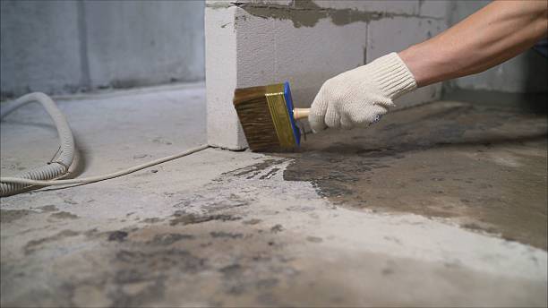 24/7 Emergency Crawl Space Encapsulation experts in Locust Grove, GA